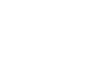 guzo logo